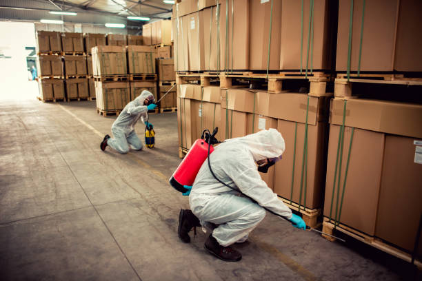Wasp Removal Services in Parker, SC