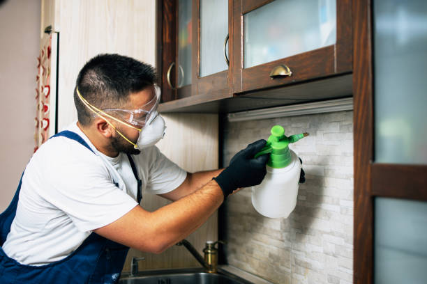 Best Emergency Pest Control  in Parker, SC