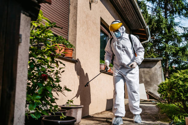 Best Local Pest Control Services  in Parker, SC