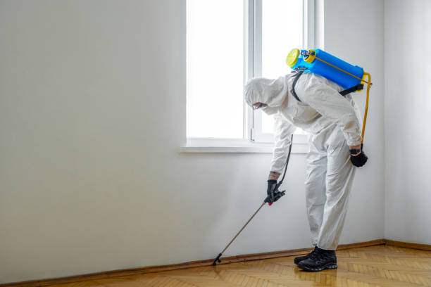 Pest Control for Restaurants in Parker, SC