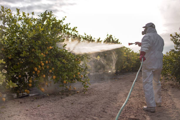 Parker, SC Pest Control Company