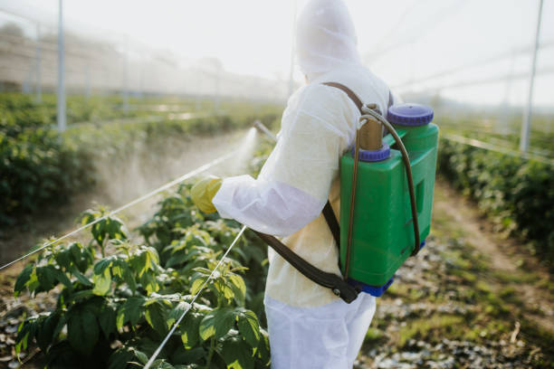 Best Pest Removal Services  in Parker, SC